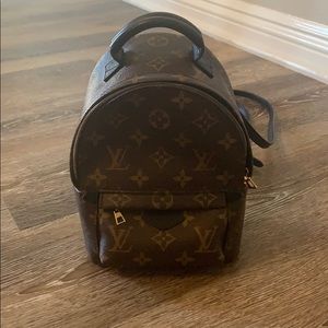 Authentic Louis Vuitton Palm Springs Mini